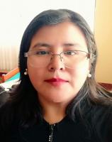 Chipana Mendoza Gladys Jaqueline